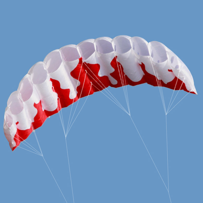 Kitesurf-cometa de Parafoil de - Kite Surf Bar Control reseña y precio